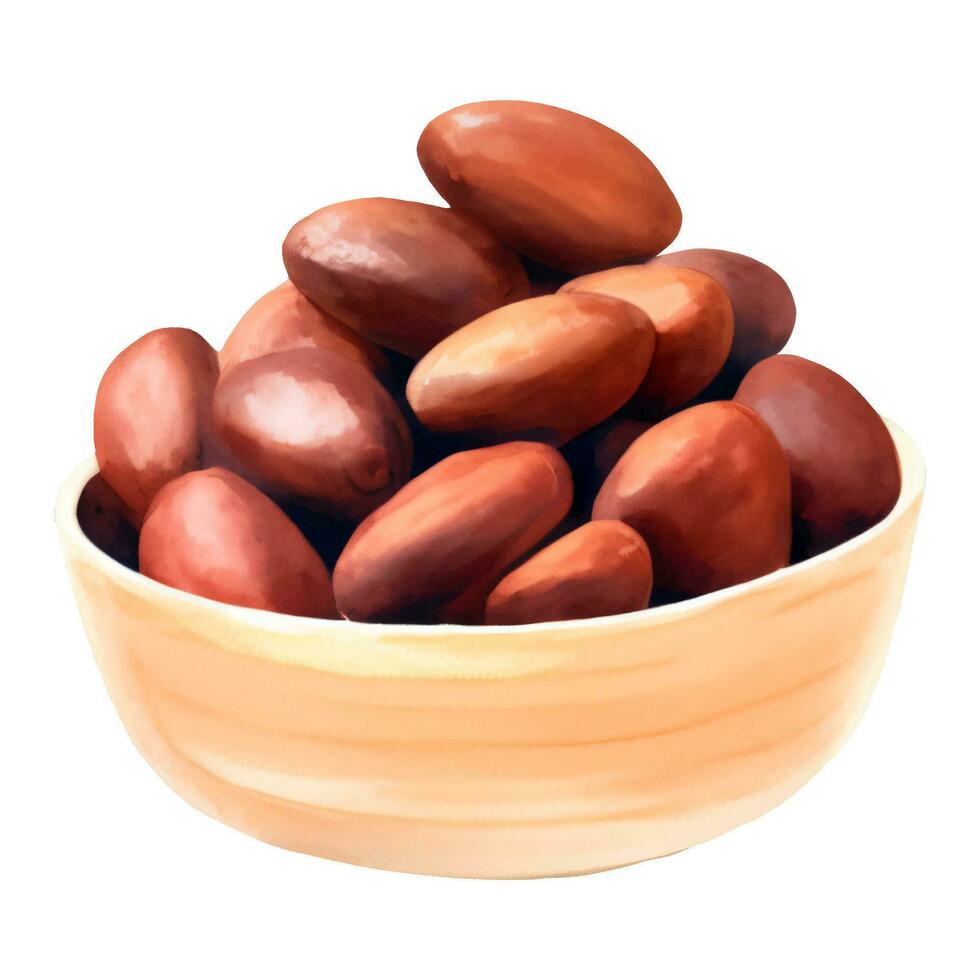 Cocoa Beans on Wooden Bowl Isolated Hand Drawn Painting Illustration vector