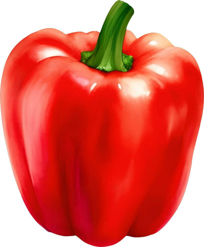 Red Paprika Bell Pepper Isolated Hand Drawn Painting Illustration vector