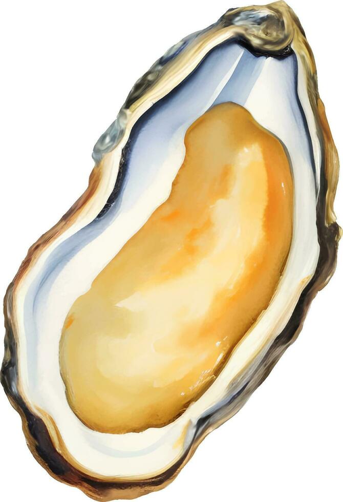 Fresh Oyster Detailed Hand Drawn Illustration Vector Isolated