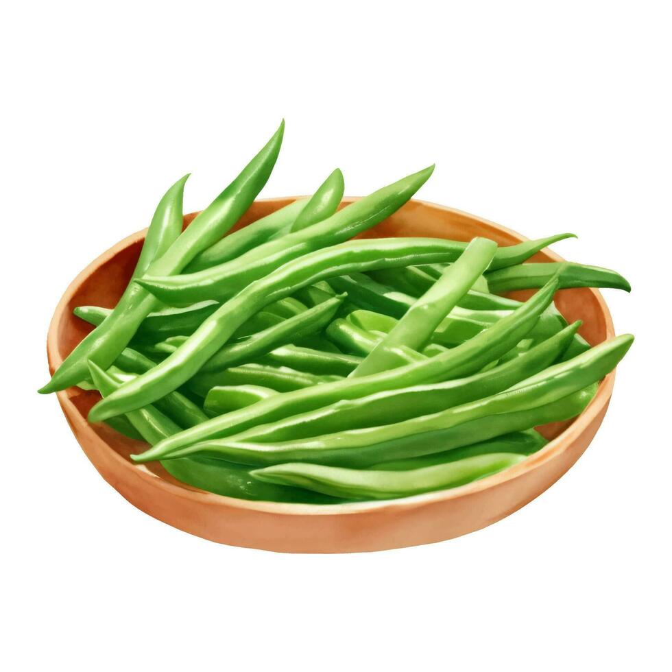 Green Beans on Wooden Bowl Isolated Hand Drawn Painting Illustration vector