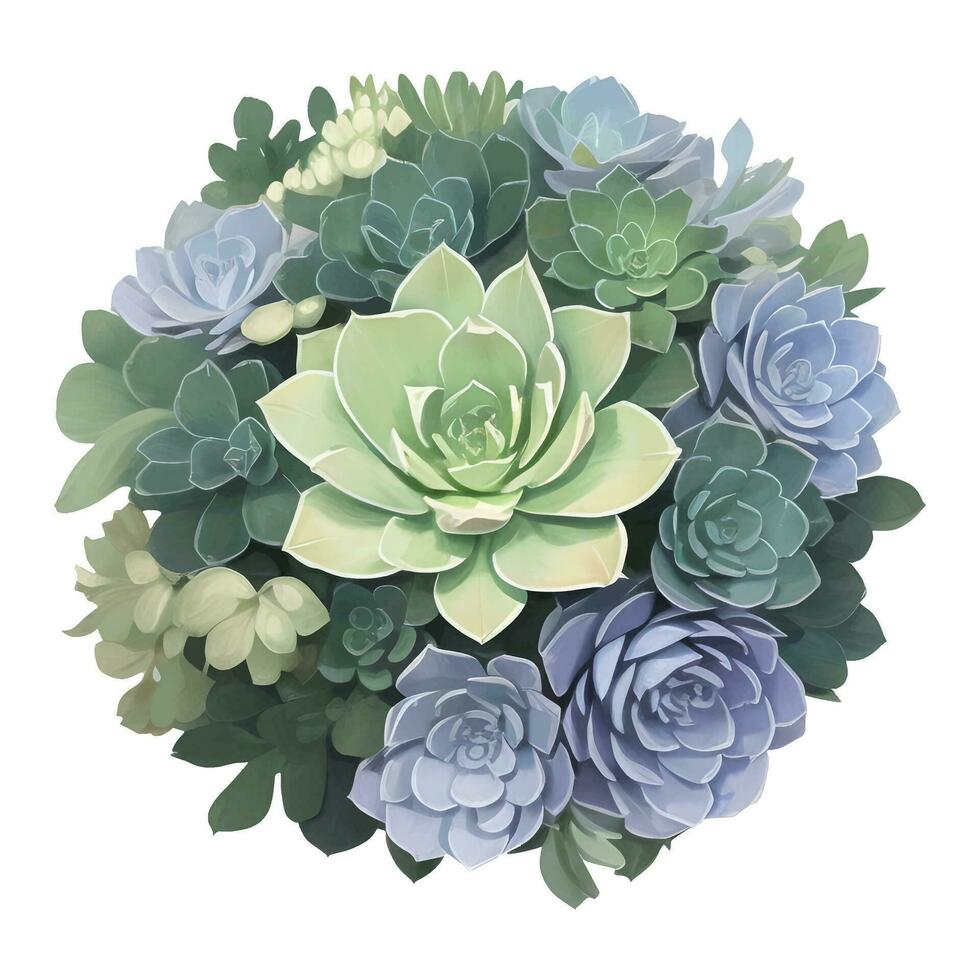 Succulent Floral Isolated Detailed Hand Drawn Painting Illustration vector