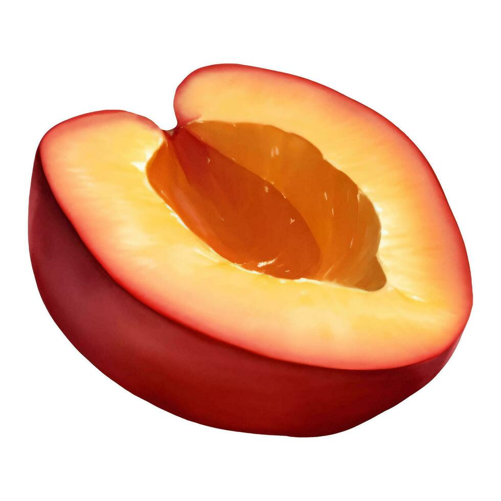 Half Cut Plum Fruit without Seed Isolated Hand Drawn Painting Illustration 28543652 Vector Art
