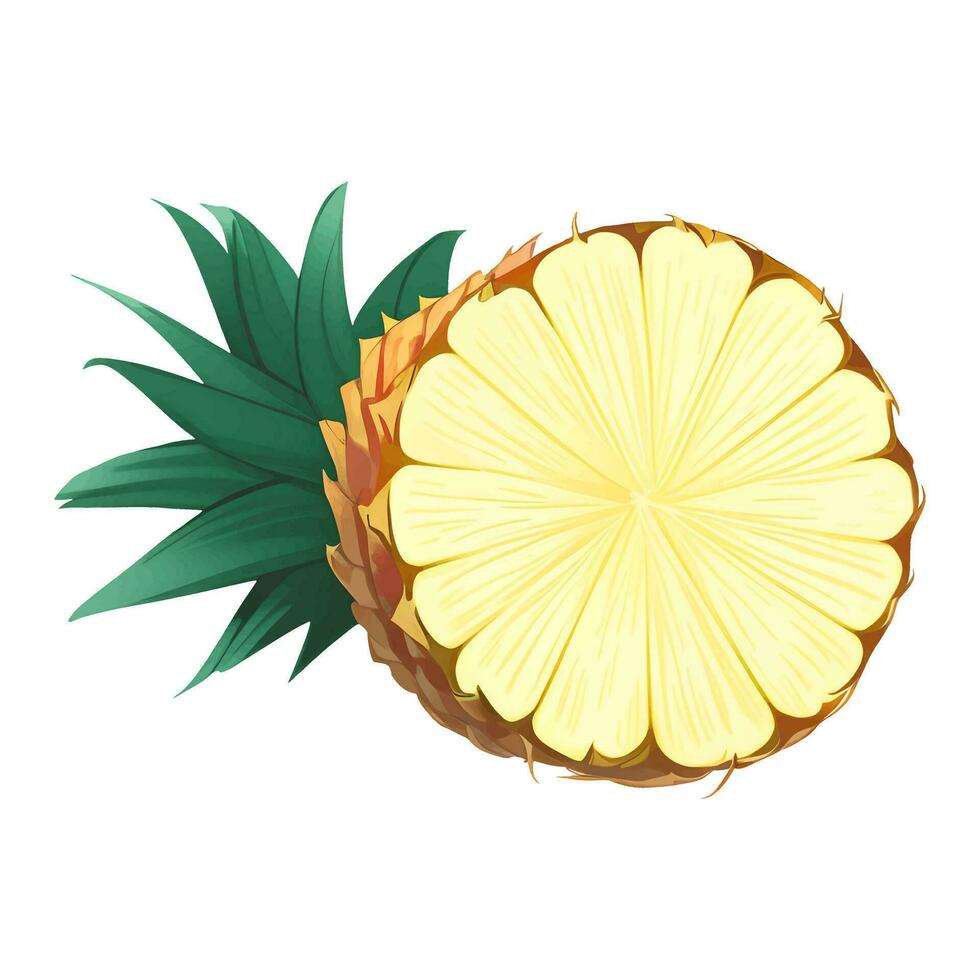 Half Pineapple Isolated Detailed Hand Drawn Painting Illustration vector