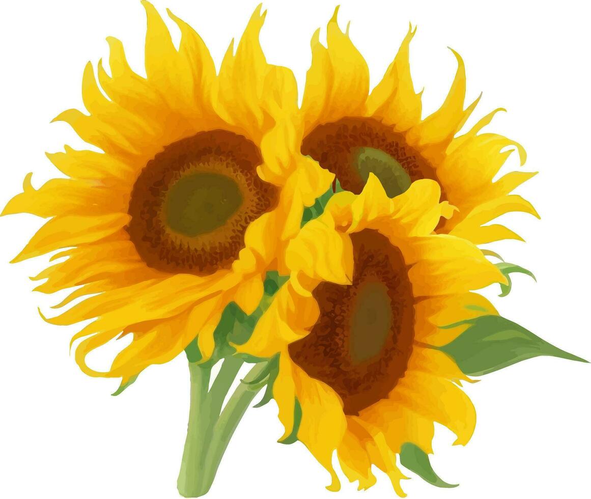 Sunflowers Bouquet with Leaves Detailed Beautiful Hand Drawn Vector Illustration