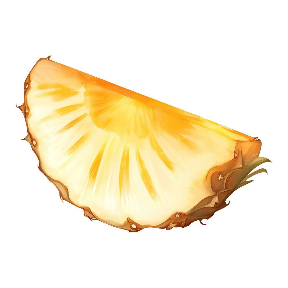 Pineapple Slice Isolated Detailed Hand Drawn Painting Illustration vector
