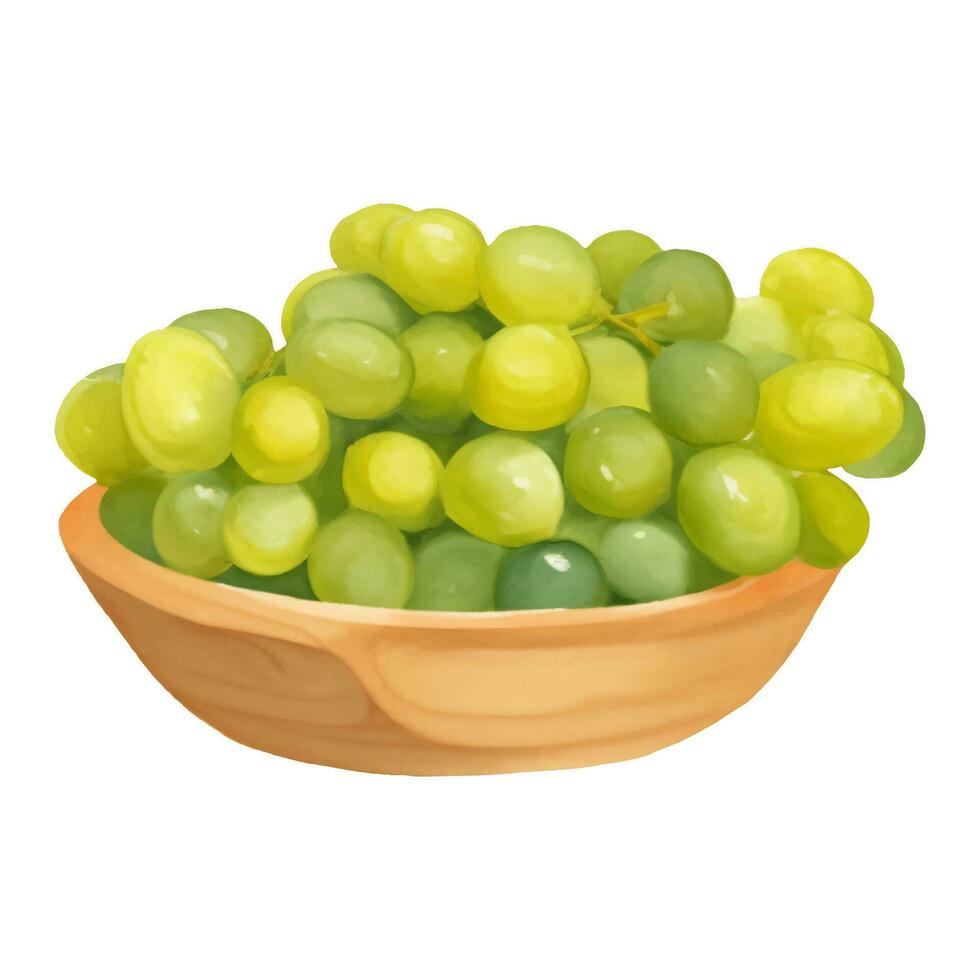 Green Grapes on Wooden Bowl Isolated Hand Drawn Painting Illustration vector