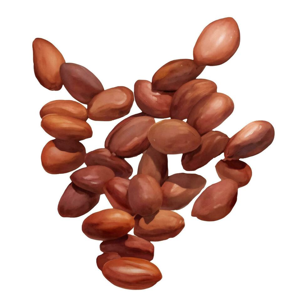 Pile of Cocoa Beans Isolated Hand Drawn Painting Illustration vector