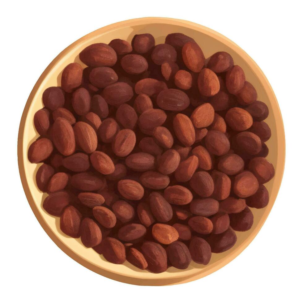 Cocoa Beans on Wooden Bowl Top View Isolated Hand Drawn Painting Illustration vector