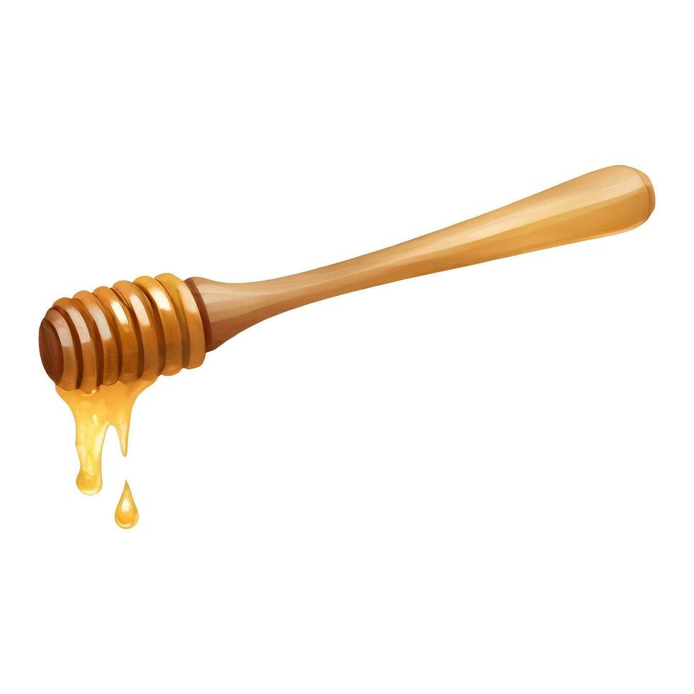 Honey Dipper with Dipping Honey Isolated Detailed Hand Drawn Painting Illustration vector