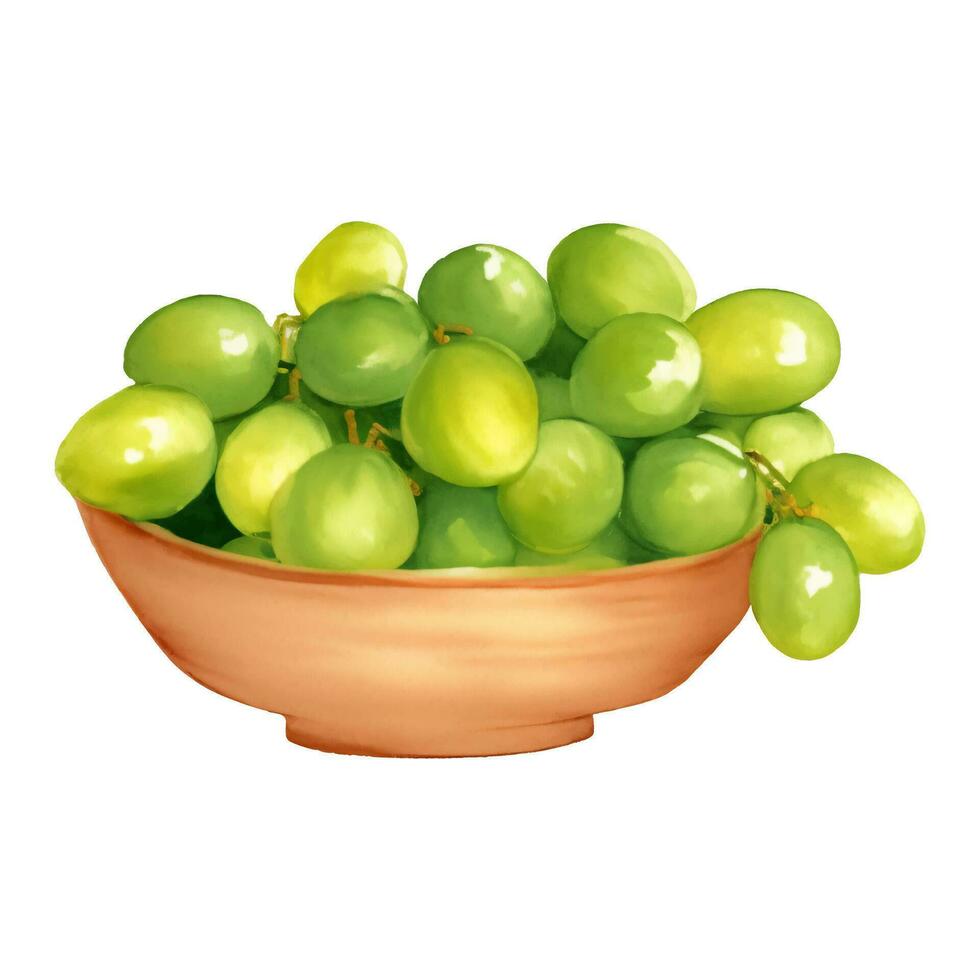 Green Grapes on Wooden Bowl Isolated Hand Drawn Painting Illustration vector