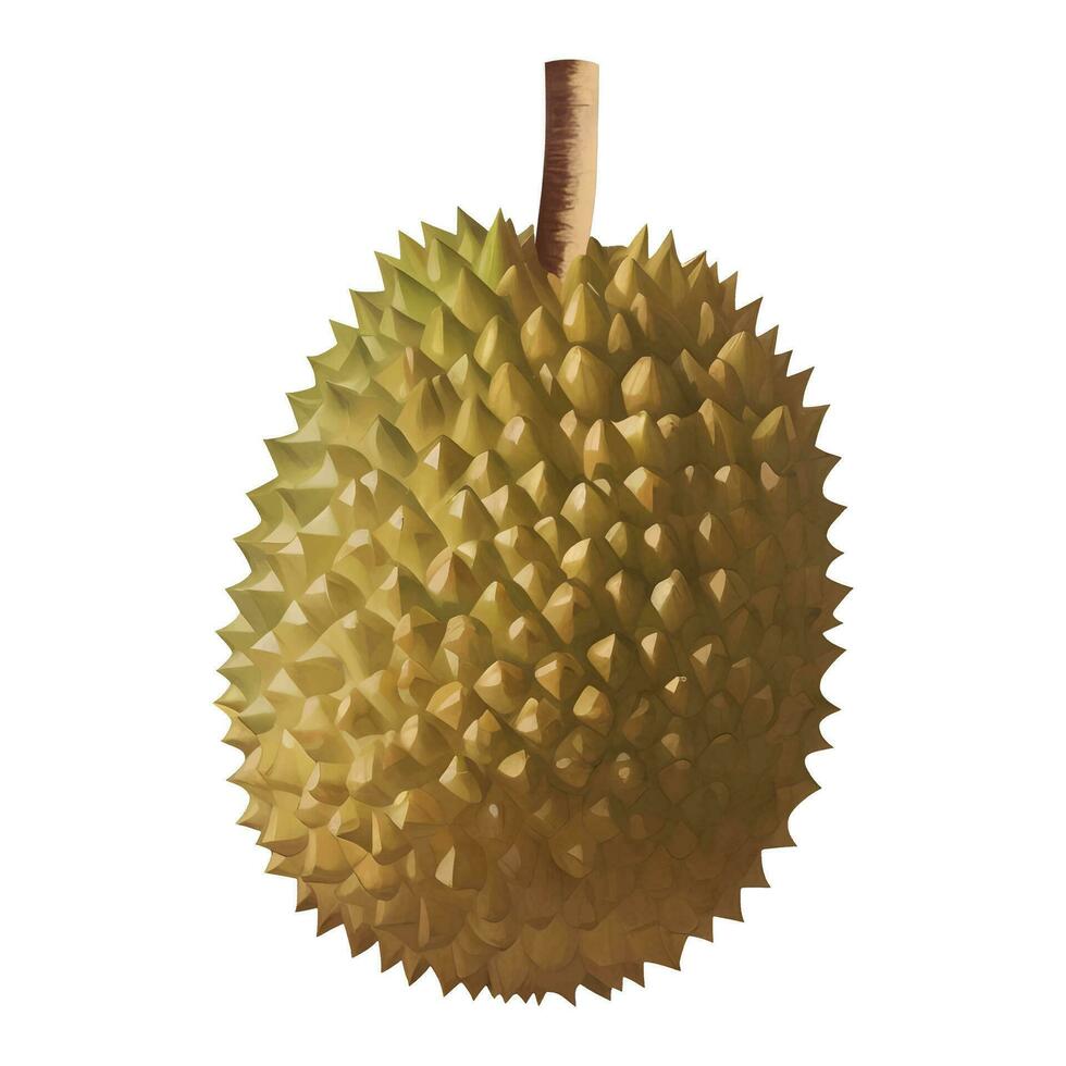 Durian Rey de frutas aislado detallado mano dibujado pintura ilustración vector