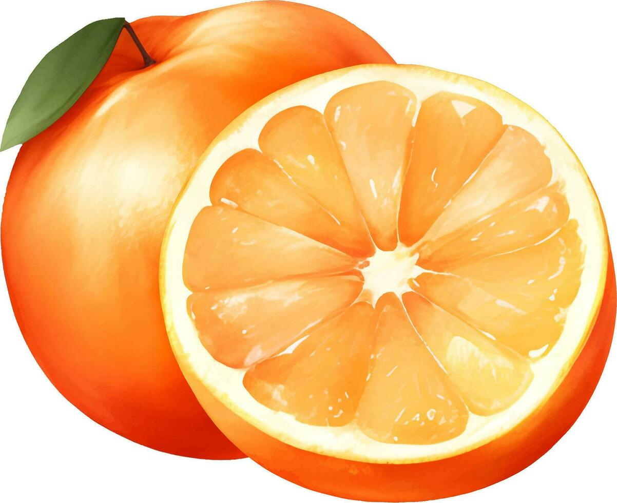 Orange Fruit with Leaf Isolated Hand Drawn Painting Illustration vector