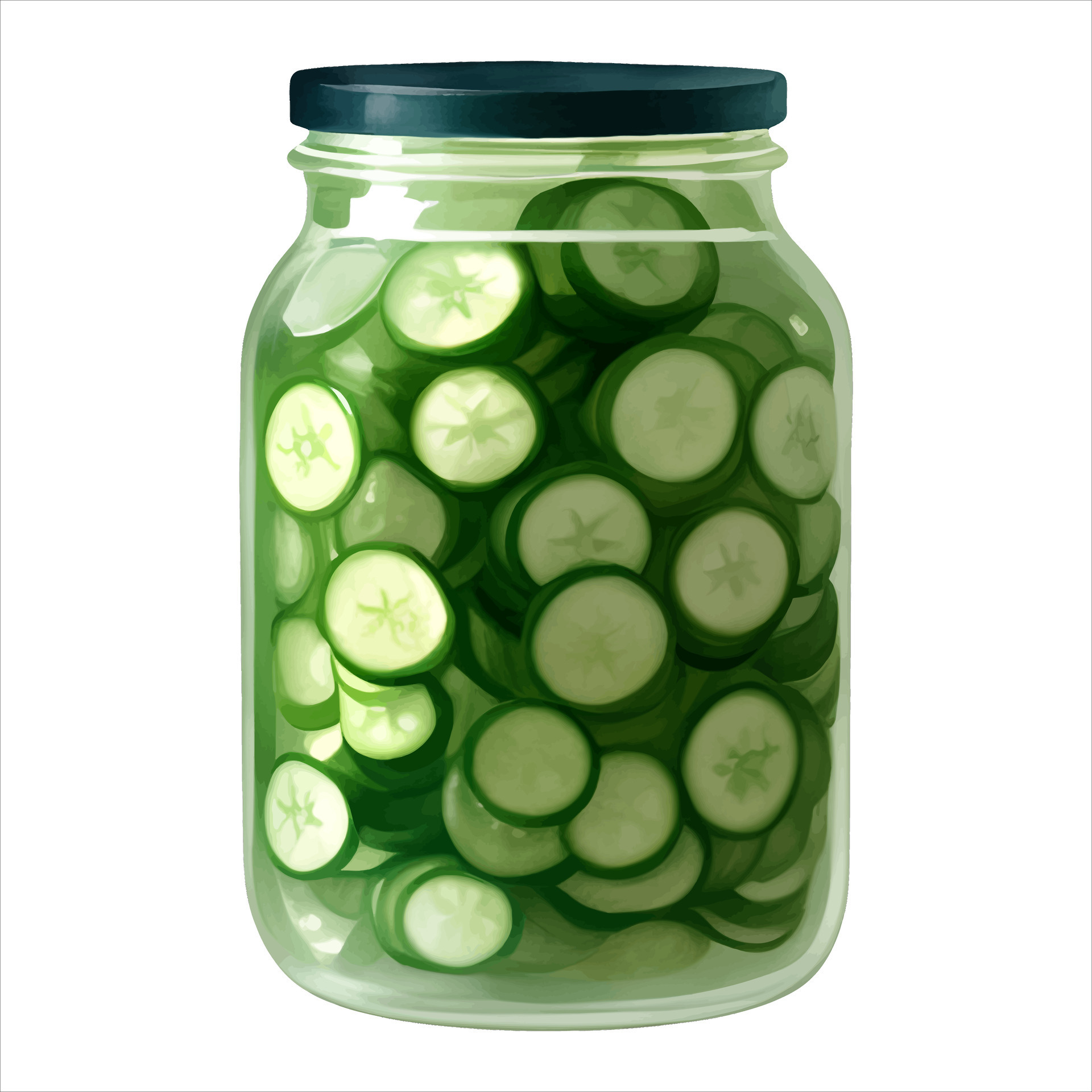 Sliced Cucumber Pickle in Jar Isolated Detailed Hand Drawn Painting