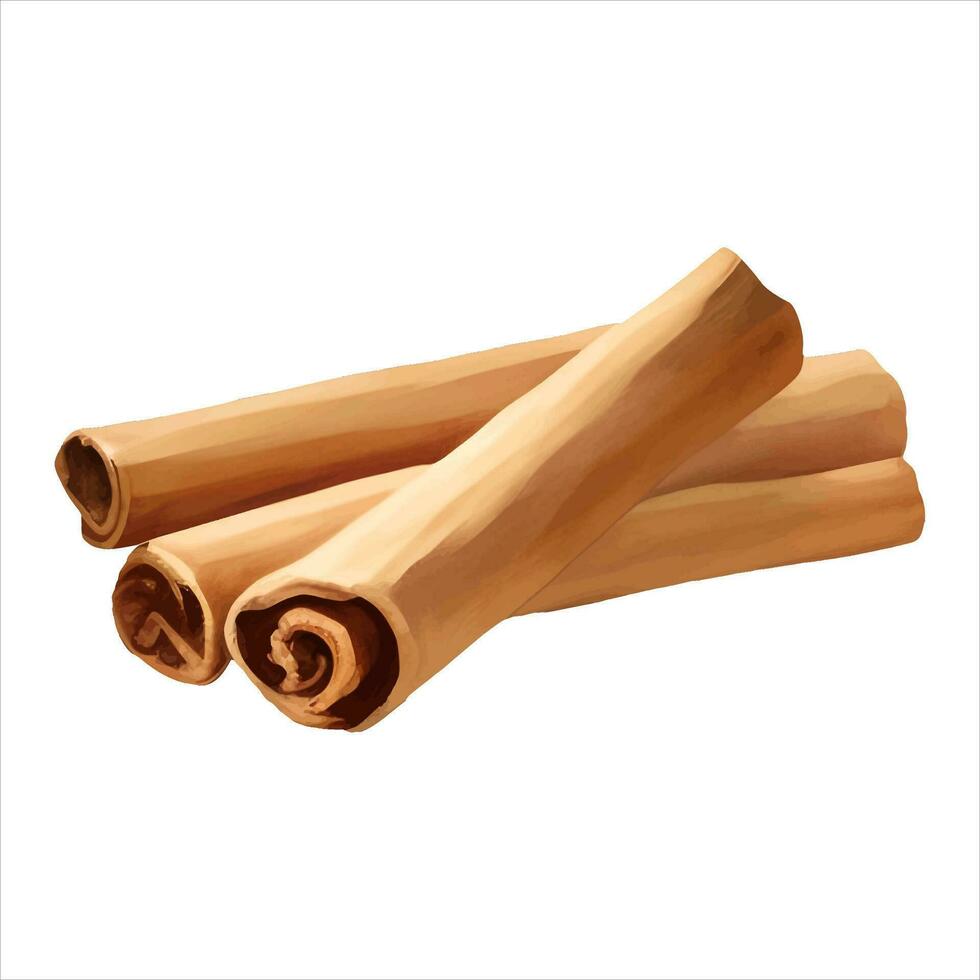 Cinnamon Sticks Isolated Detailed Hand Drawn Painting Illustration vector