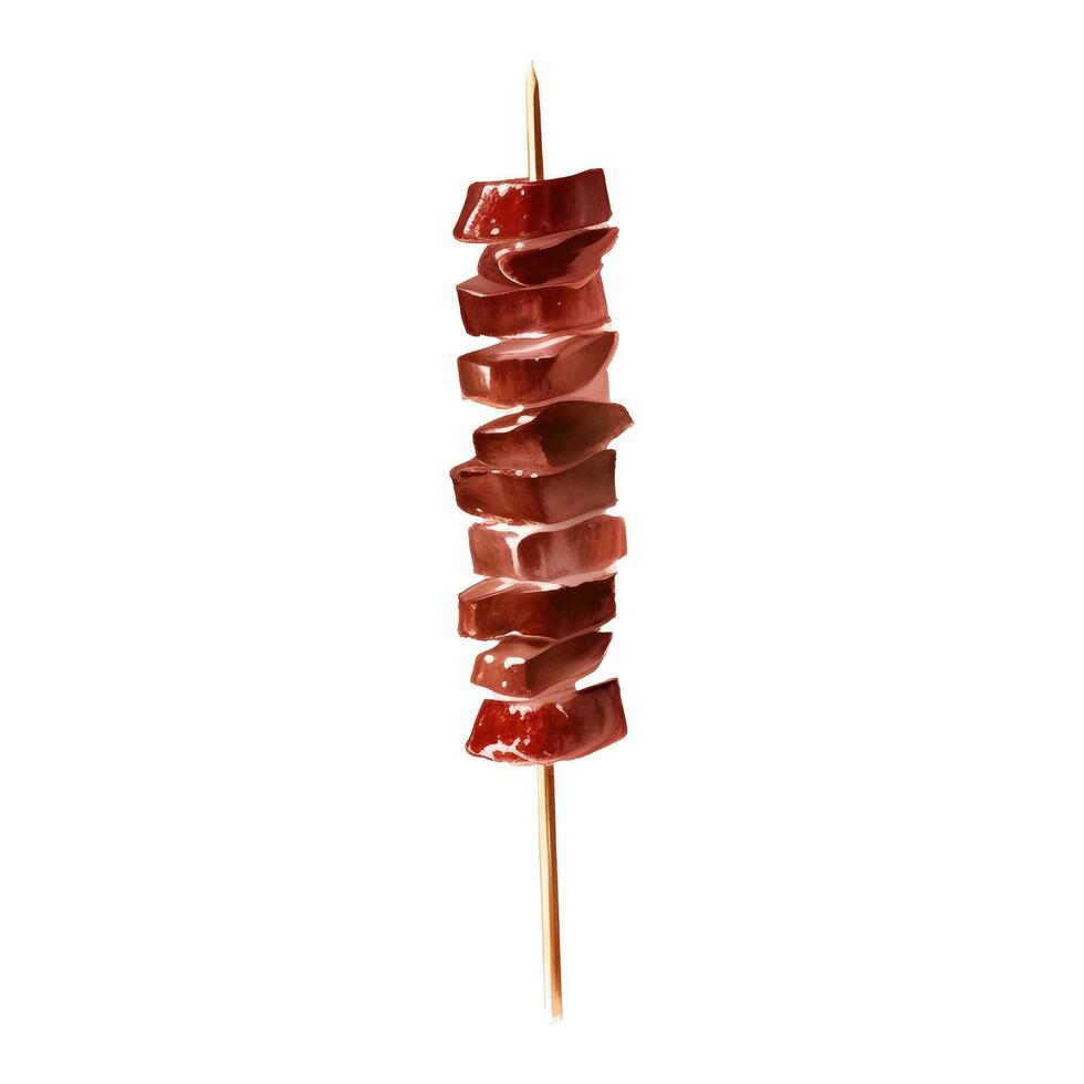 Meat Skewer Detailed Hand Drawn Illustration Painting vector