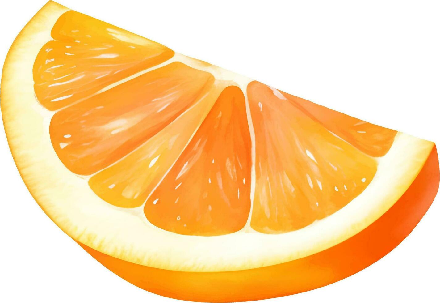 Sliced Orange Fruit Isolated Hand Drawn Painting Illustration vector