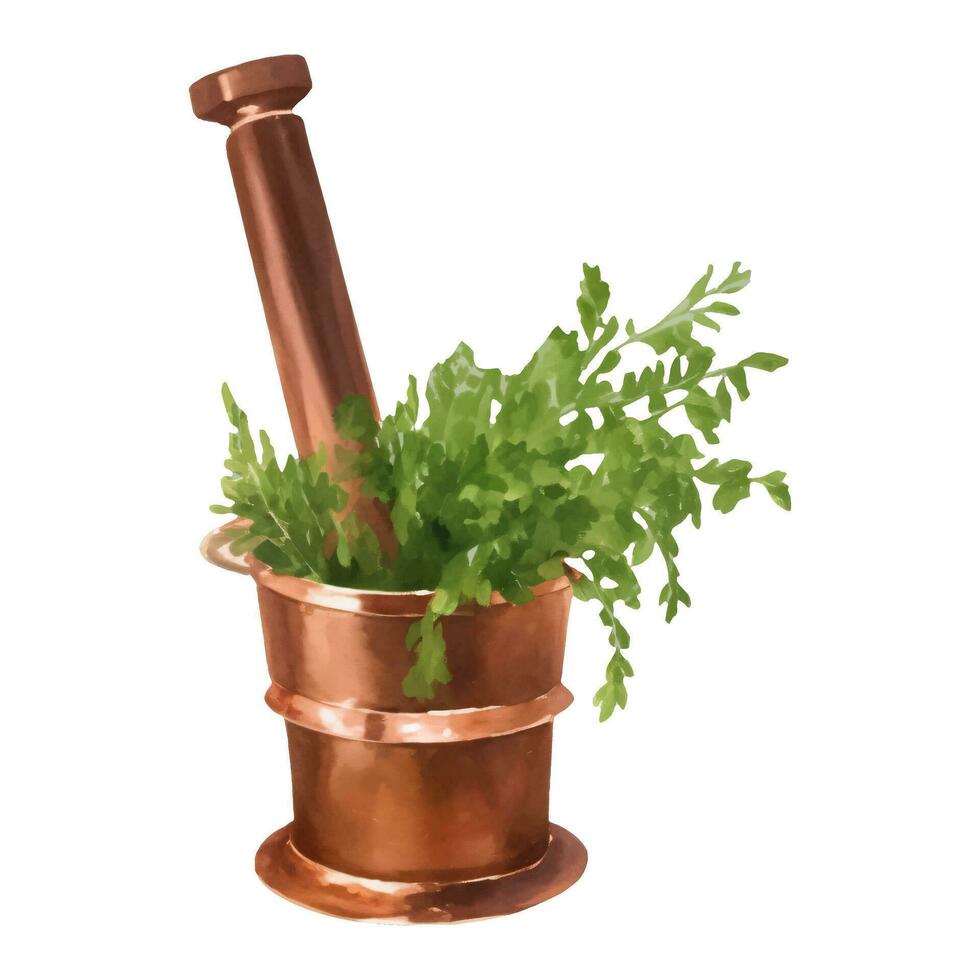 Copper Mortar and Pestle with Herbs Isolated Hand Drawn Painting Illustration vector