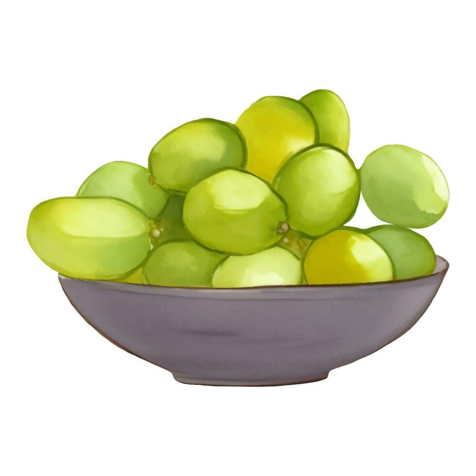 verde uvas en de madera cuenco aislado mano dibujado pintura ilustración vector