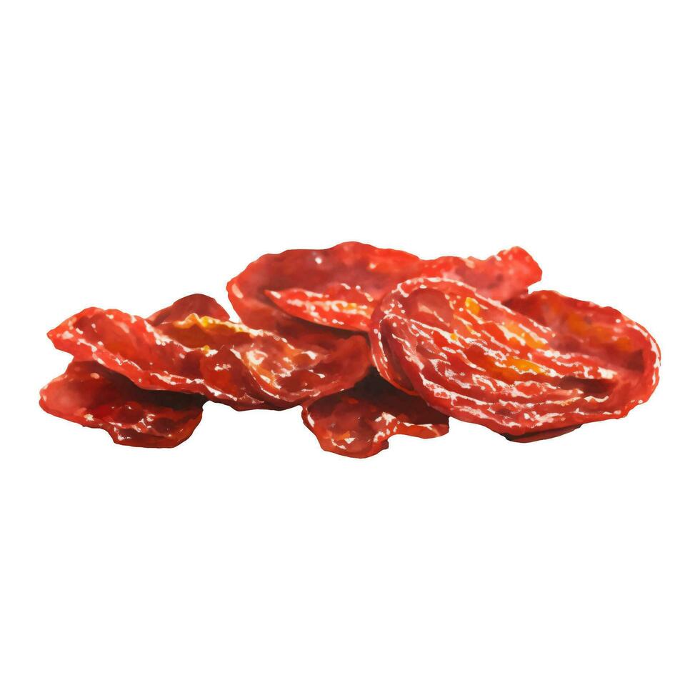 Dried Tomatoes Isolated Hand Drawn Painting Illustration vector