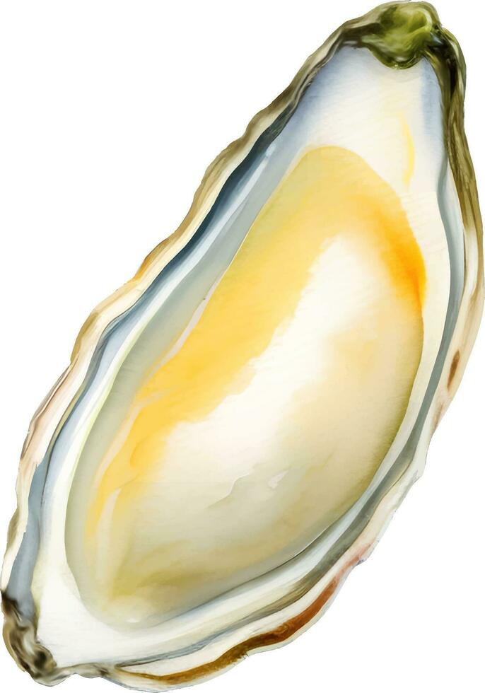 Fresh Oyster Detailed Hand Drawn Illustration Vector Isolated