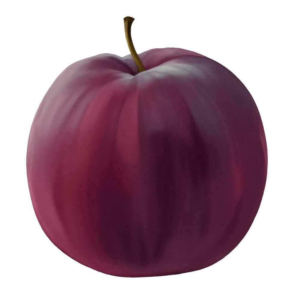Plum Fruit Isolated Hand Drawn Painting Illustration vector