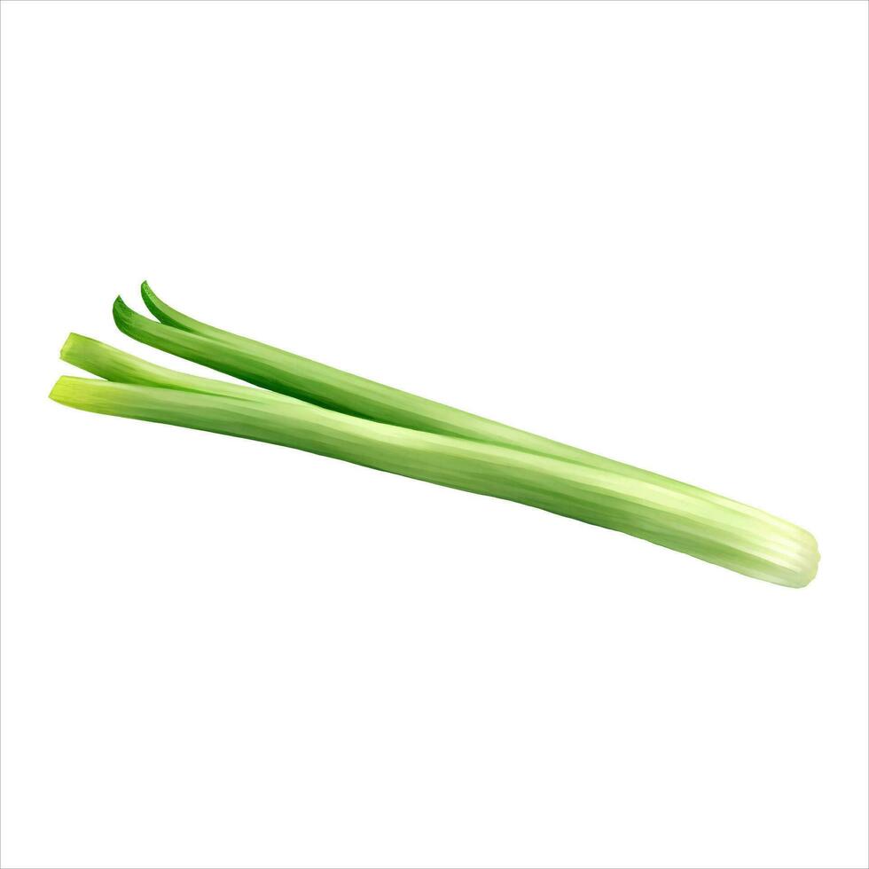 Spring Onion Isolated Detailed Hand Drawn Painting Illustration vector