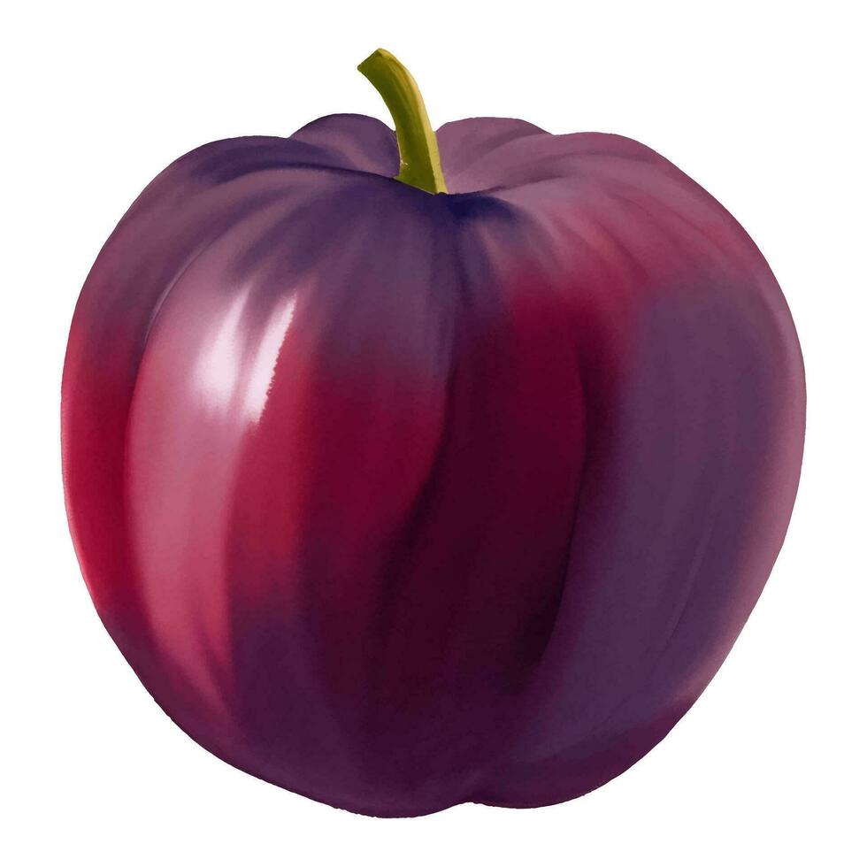 Plum Fruit Isolated Hand Drawn Painting Illustration vector