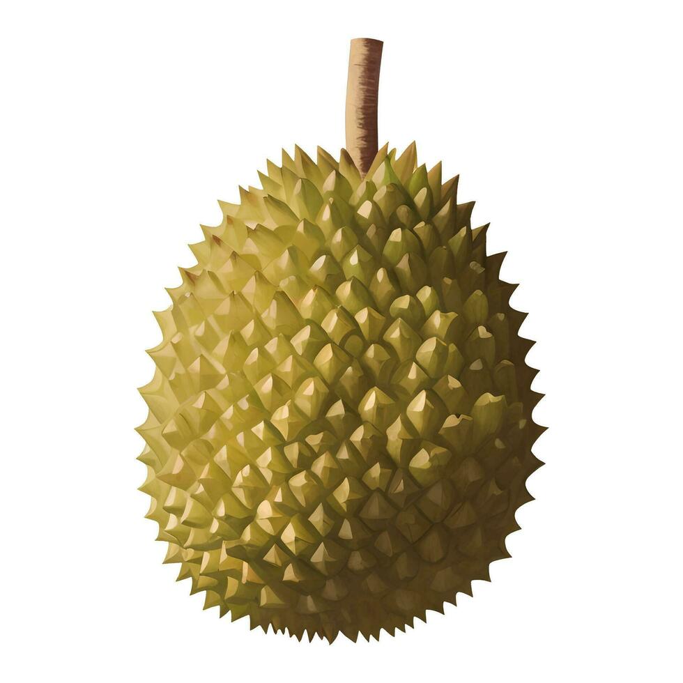 Durian King of Fruits Isolated Detailed Hand Drawn Painting Illustration vector