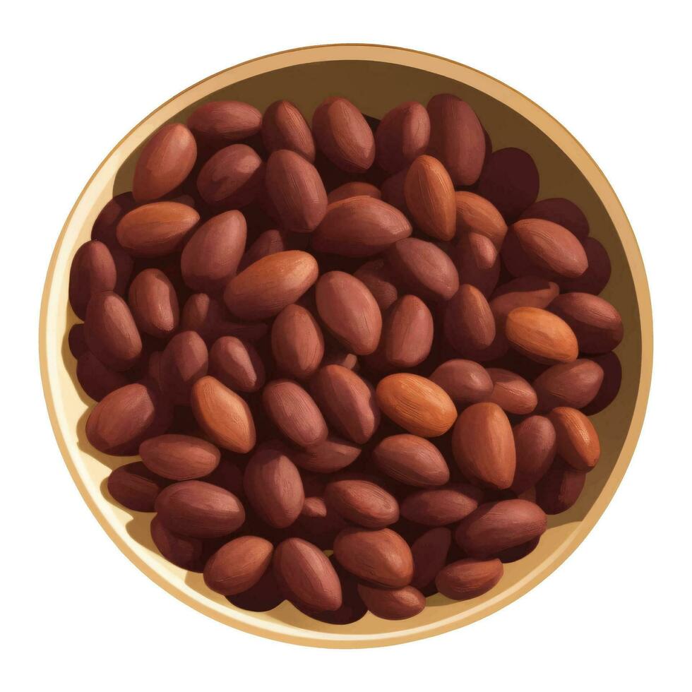 Cocoa Beans on Wooden Bowl Top View Isolated Hand Drawn Painting Illustration vector