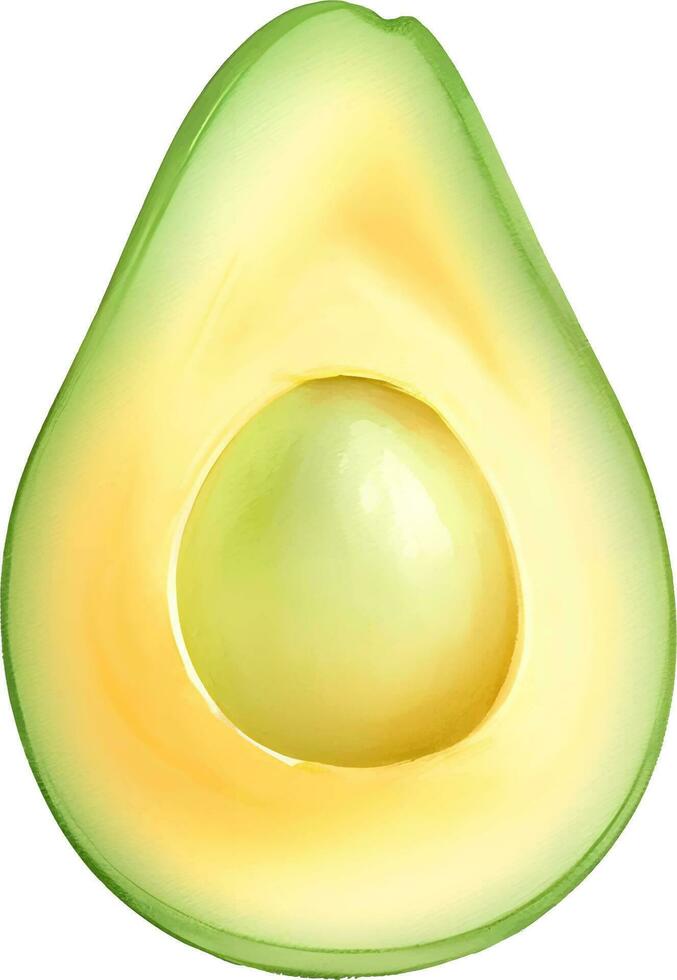 Half Avocado without Seed Hand Drawn Illustration Vector Isolated