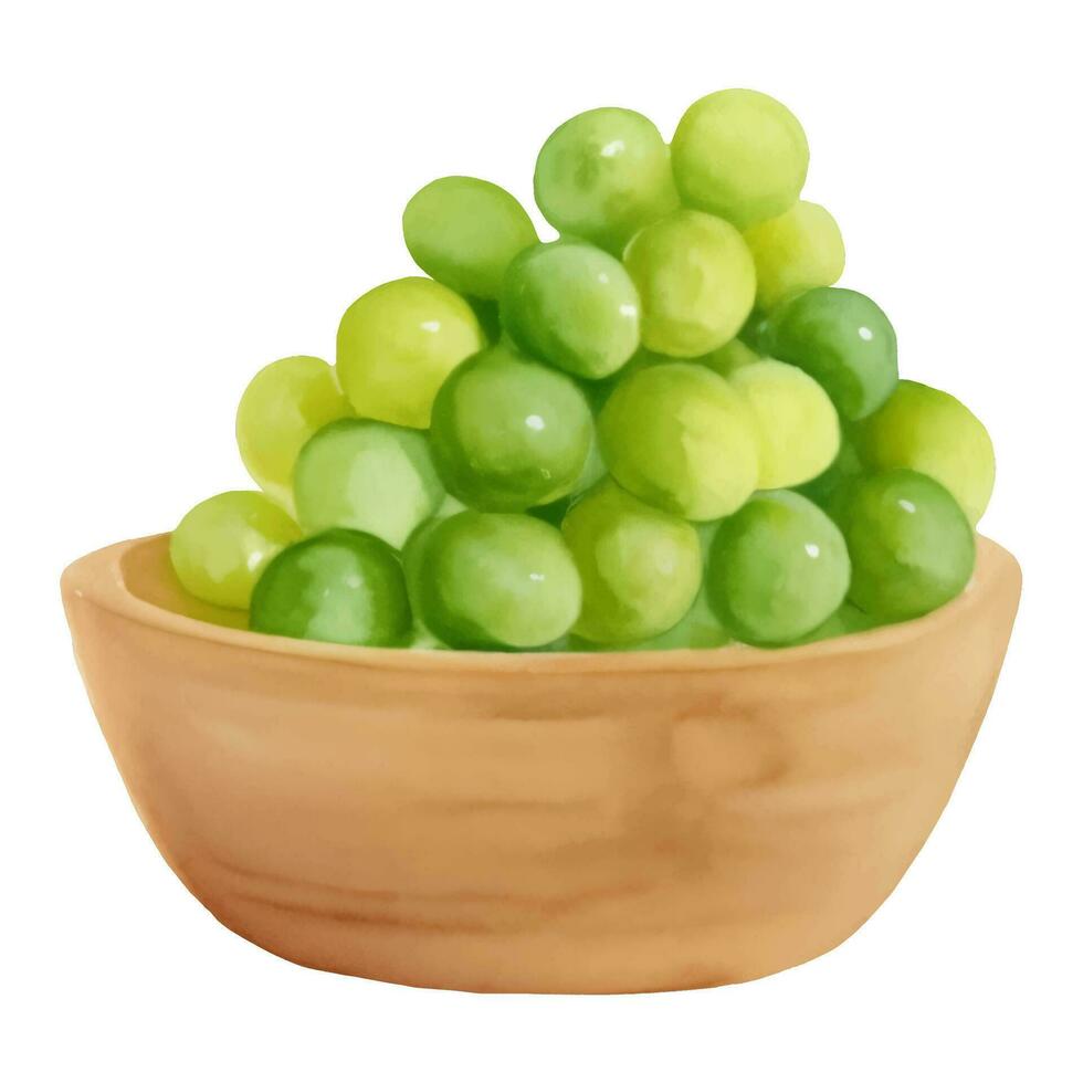Green Grapes on Wooden Bowl Isolated Hand Drawn Painting Illustration vector