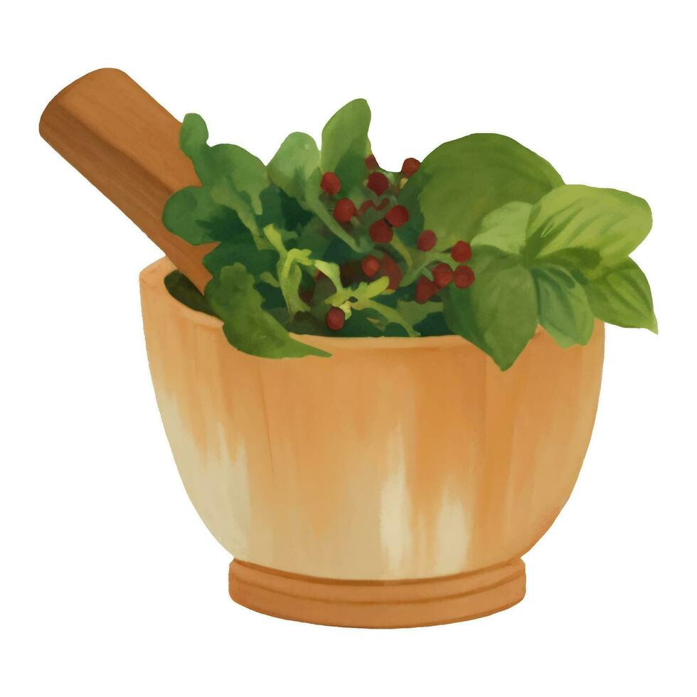 Wooden Mortar and Pestle with Herbs Isolated Hand Drawn Painting Illustration vector