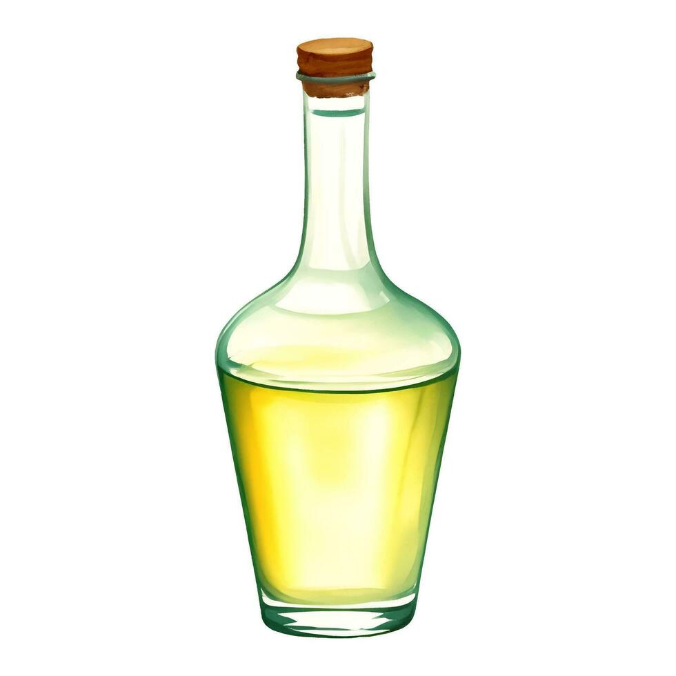 Virgin Olive Oil in Glass Bottle Isolated Hand Drawn Painting Illustration vector