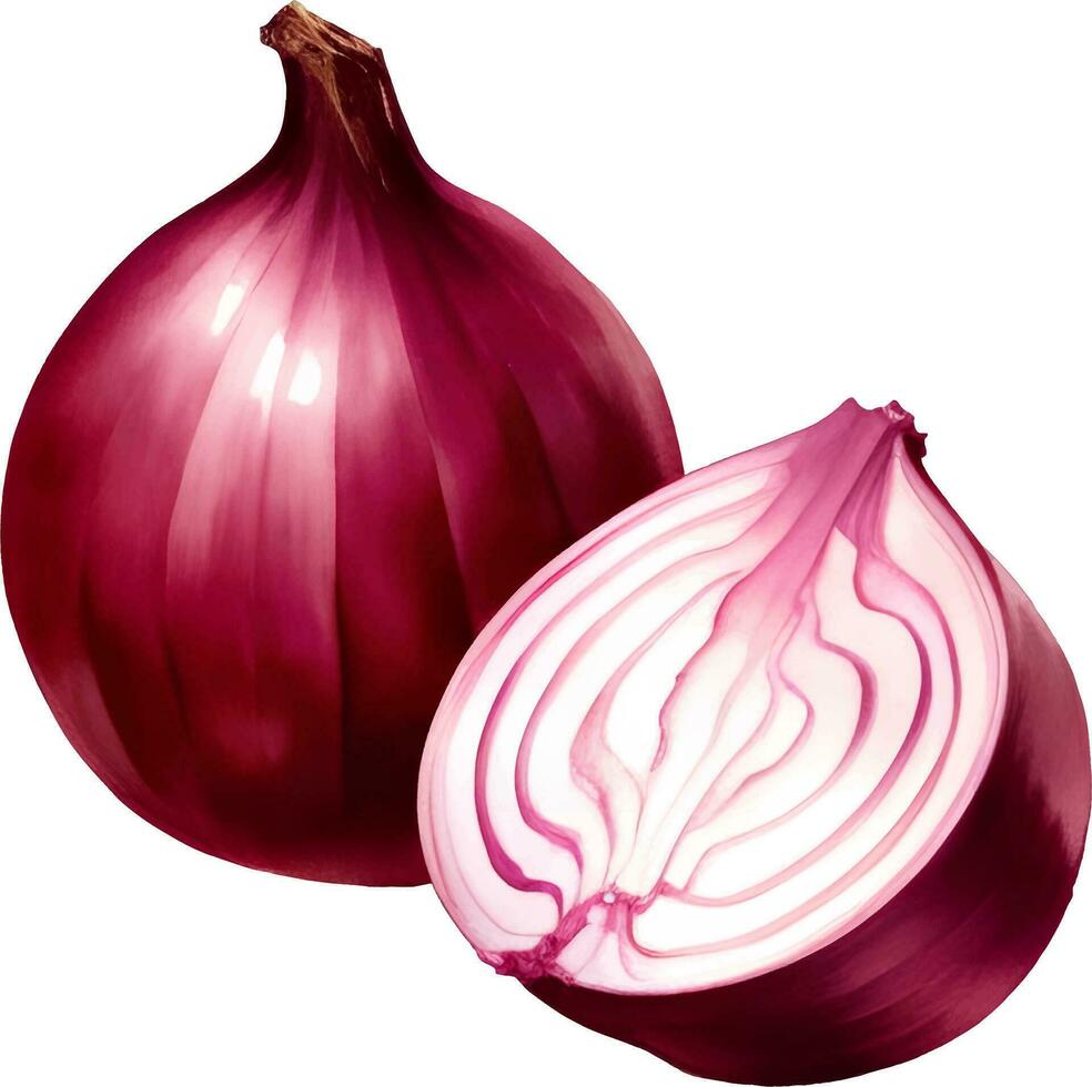 Red Onion Detailed Hand Drawn Illustration Vector Isolated