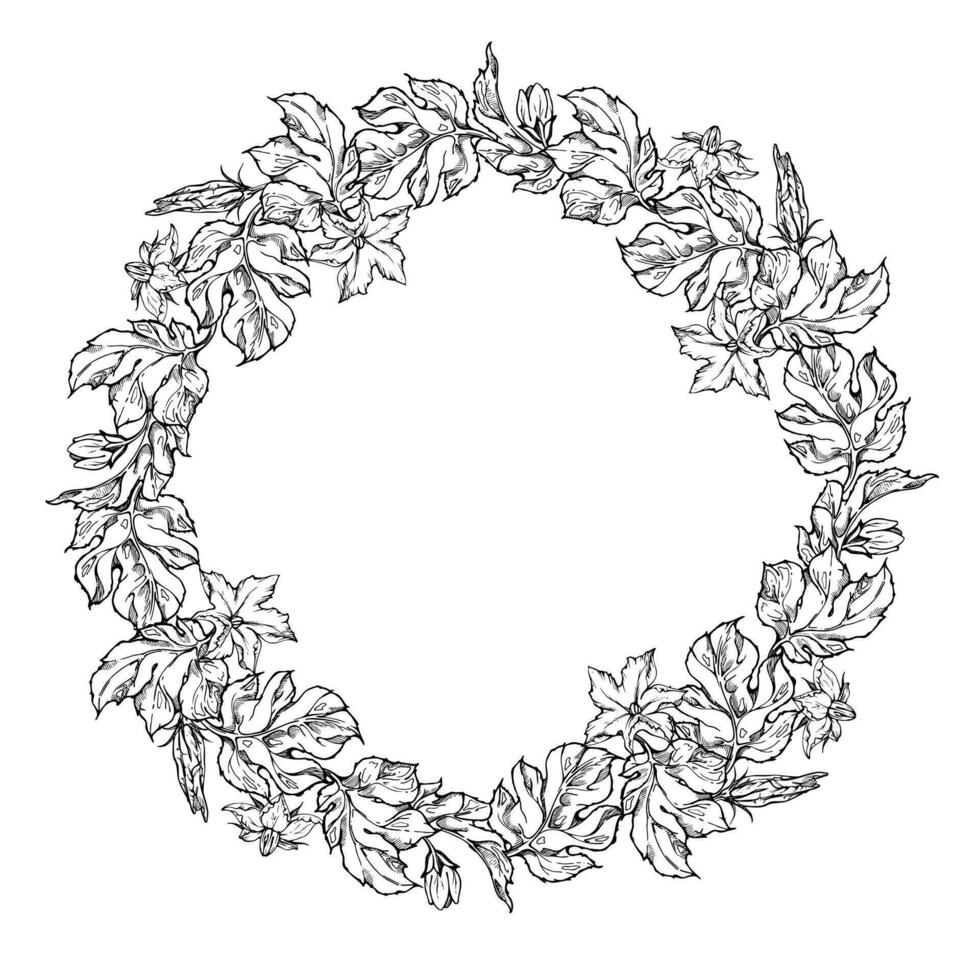 Hand drawn ink vector pumpkin leaf, vine, flower. Sketch illustration art Thanksgiving, Halloween, harvest, farming. Isolated wreath border frame. For restaurant menu print, cafe, website, invitation