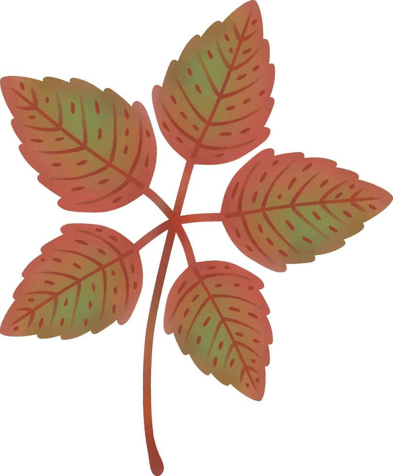 leaves change color in autumn vector