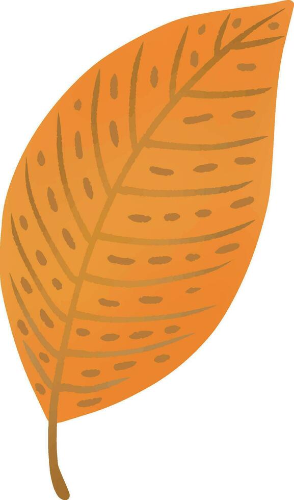 leaves change color in autumn vector