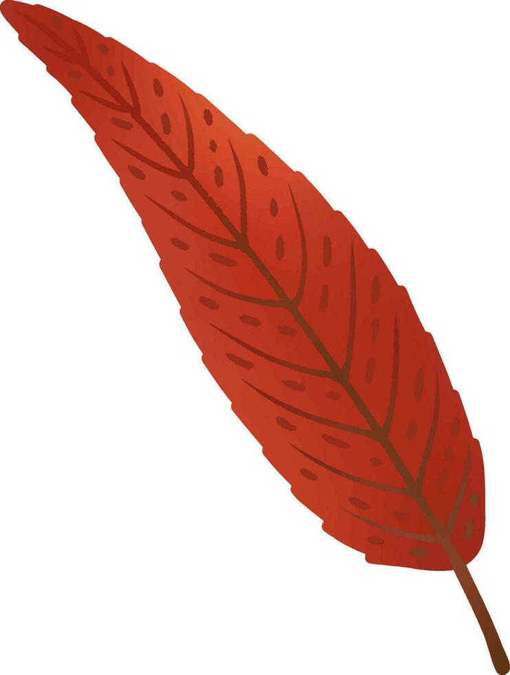 leaves change color in autumn vector