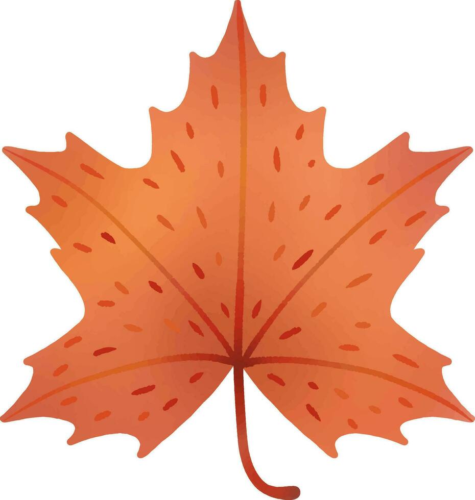 leaves change color in autumn vector
