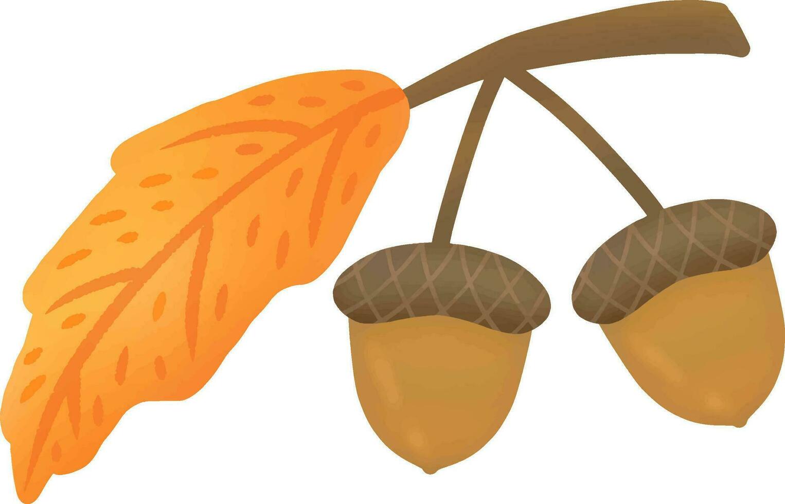Acorns picked in the autumn vector