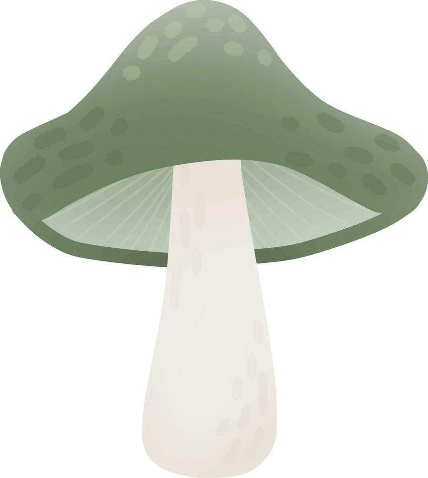 Picking mushrooms in the autumn vector
