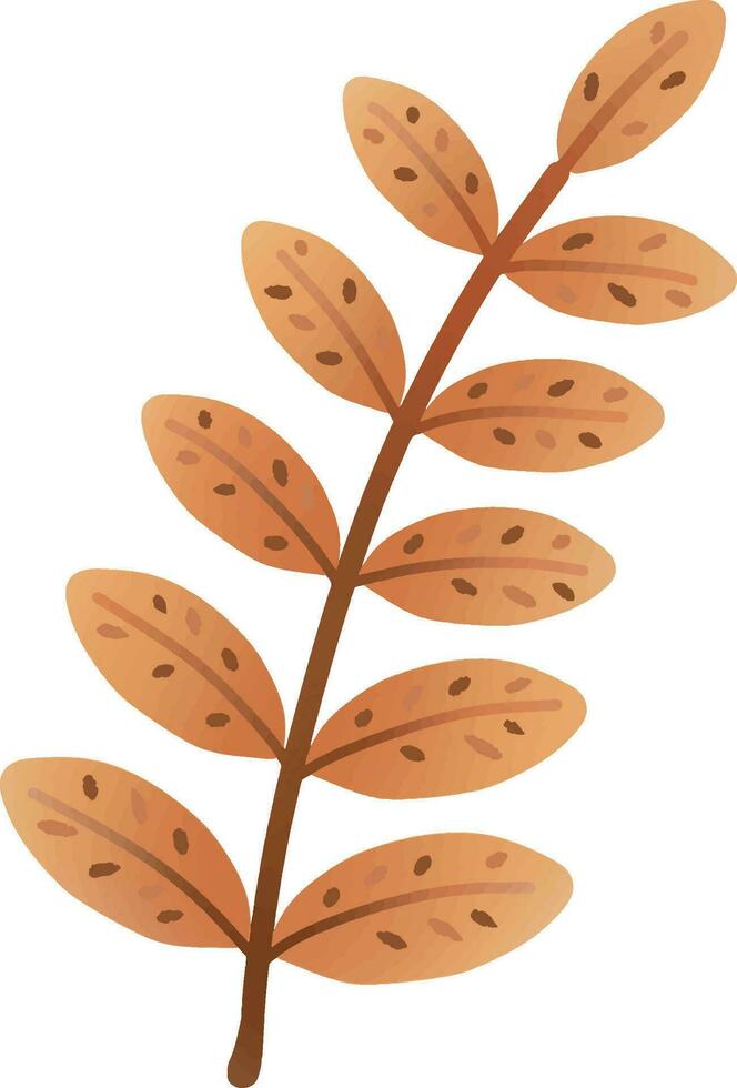 leaves change color in autumn vector