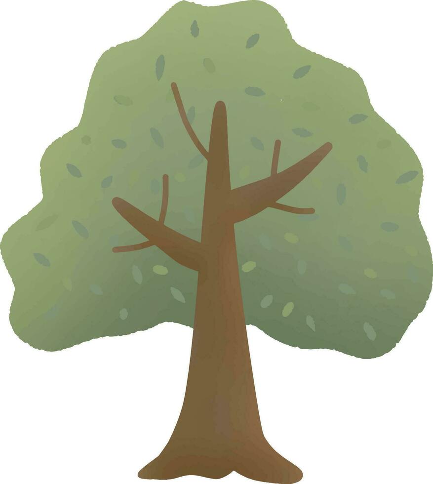 trees change color in autumn vector