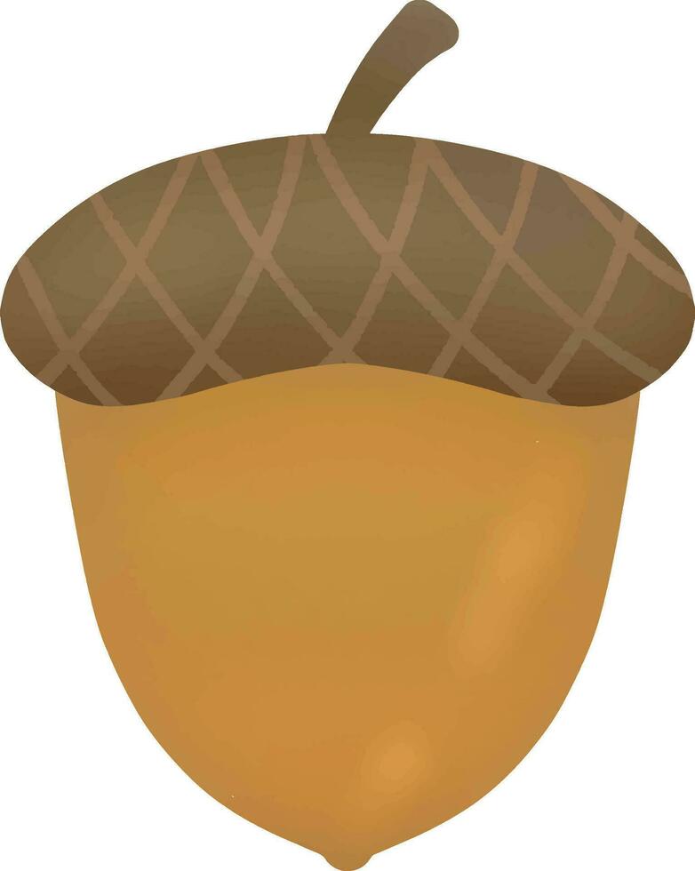 Acorns picked in the autumn vector