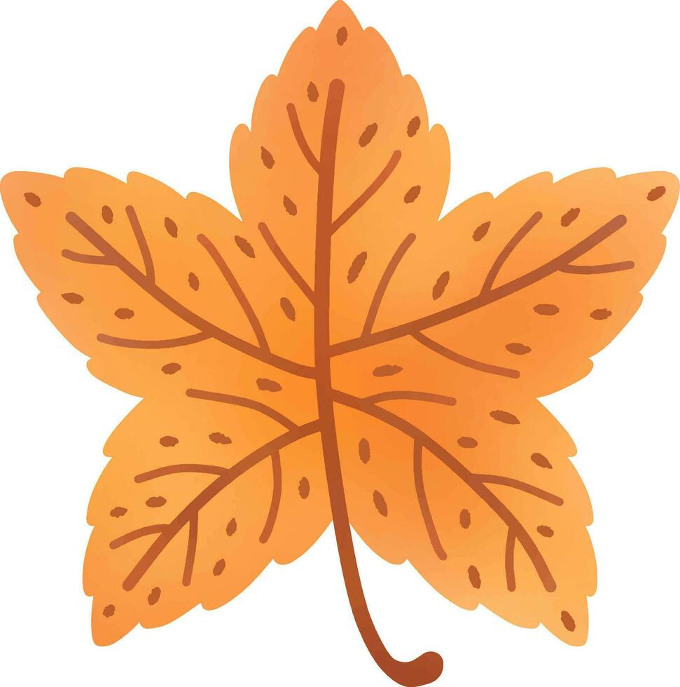 leaves change color in autumn vector