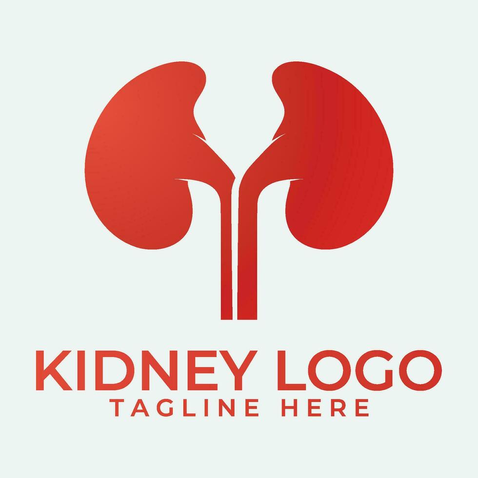 Kidney icon vector. vector