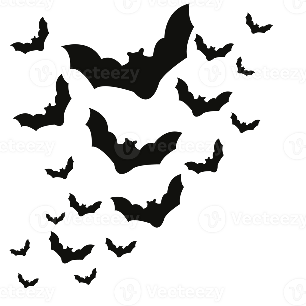 flock of bats, illustration png