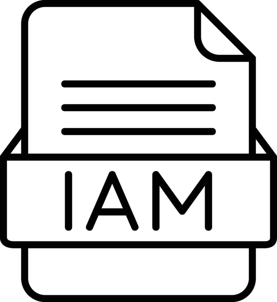 IAM File Format Line Icon vector