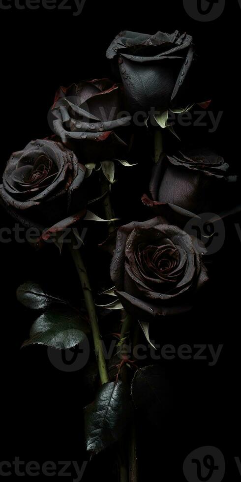 Spellbinding closeup portrait of roses, eternal melancholy, AI Generated photo