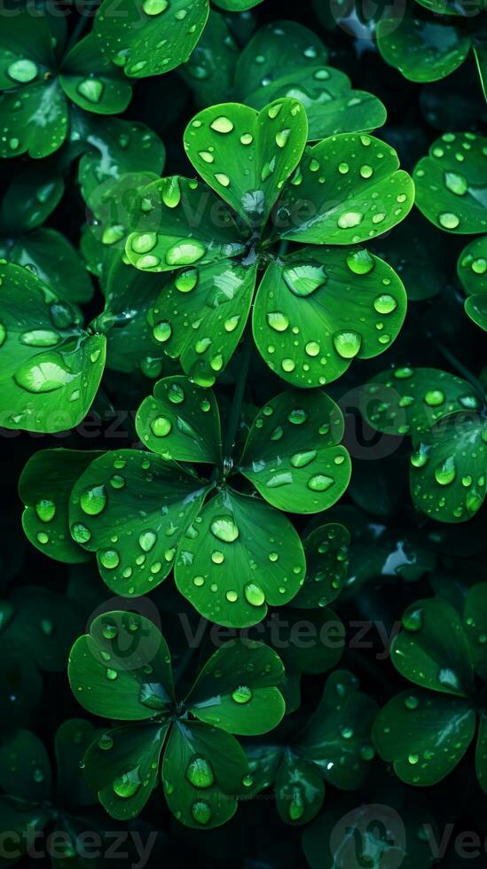 A Bunch of clover leaf background, Generative AI photo
